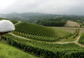 Ceretto Winery & The Barolo Brothers