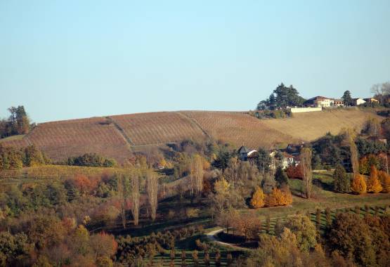 Langhe